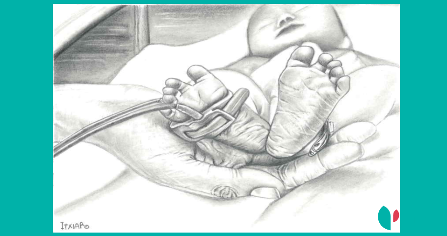 Atención y cuidados de enfermería del recién nacido en el medio intrahospitlario.